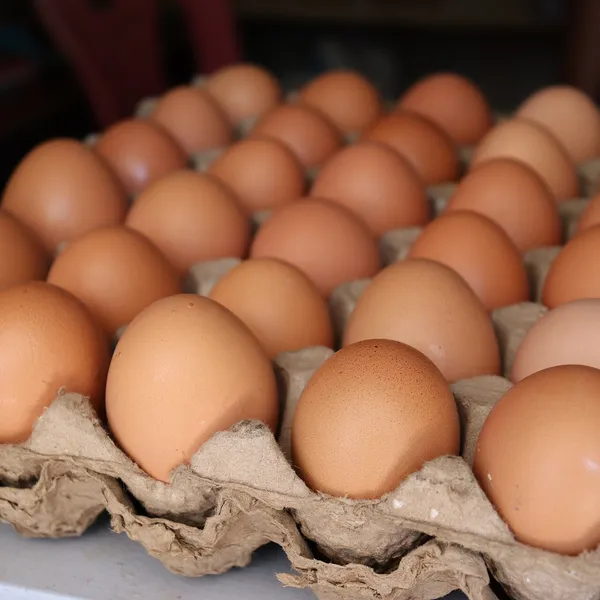 Eggs