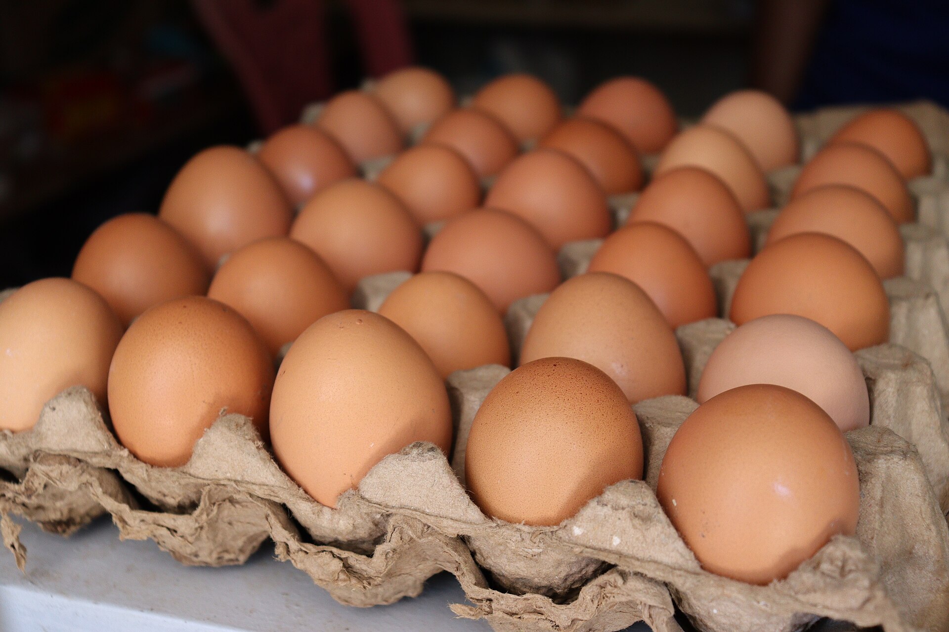 Eggs