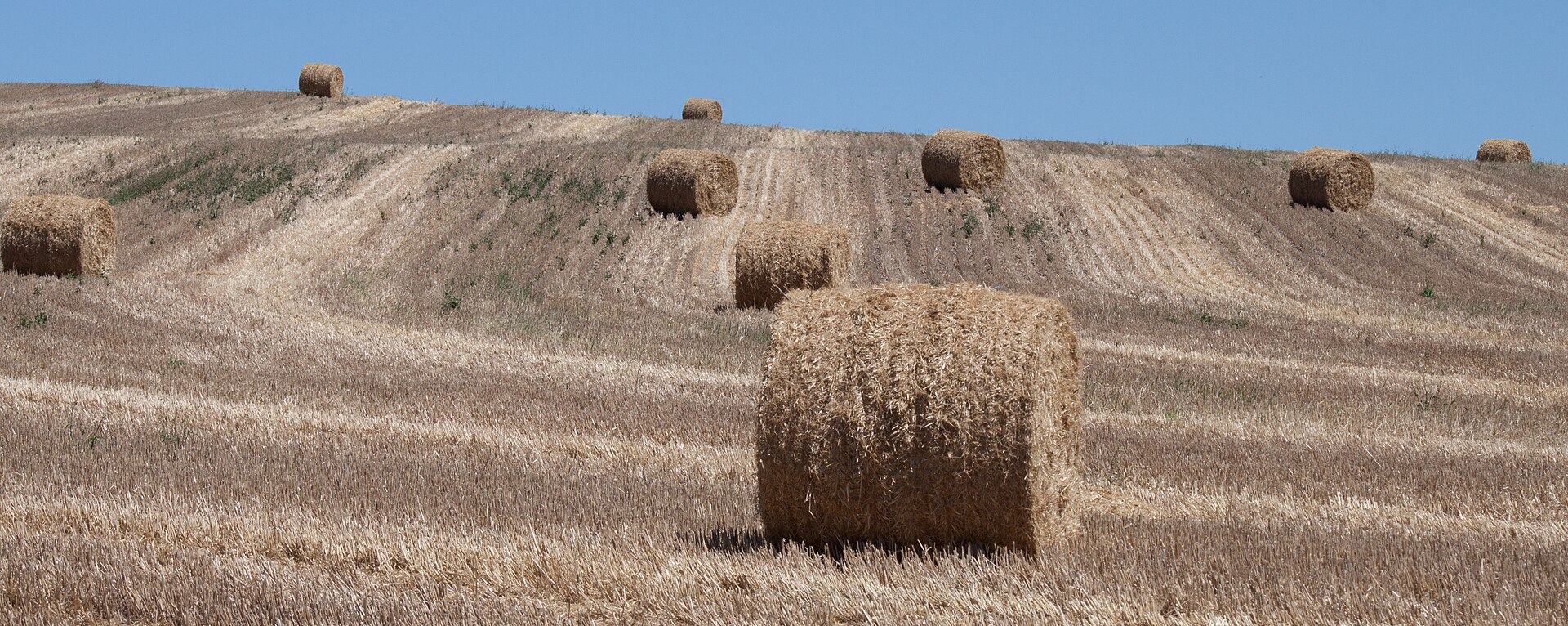 Hay bales